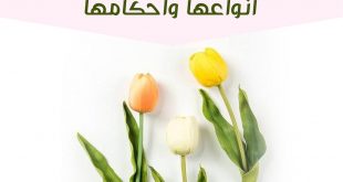 كيف أهيئ صغيرتي للبلوغ - الإفرازات النسائية
