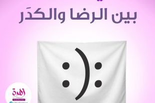 الحياة الزوجية - حياتنا بين الرضا والكدر