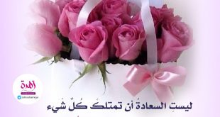 ليست السعادة أن تمتلك كل شيء