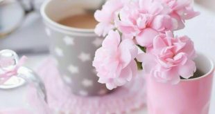 جالسي جميلات الروح تصبك عدوى جمالهن