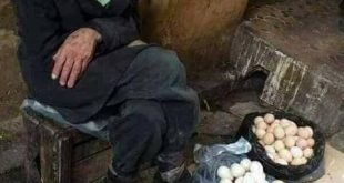 قضايا اجتماعية - السنيورة والعجوز بائع البيض
