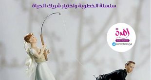 الأسرة السعيدة -الخطوبة والزواج - الخطوبة واختيار شريك الحياة