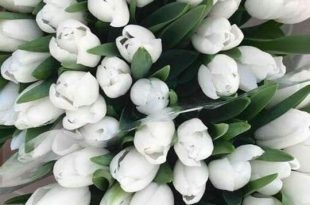 بطاقات الصباح والمساء - ‌‏⁧الصباح⁩ ‏هدية جديدة