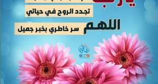 ملفات وبطاقات - كم انا بحاجة الى فرحة