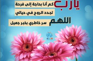 ملفات وبطاقات - كم انا بحاجة الى فرحة
