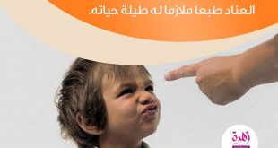 نصائح في تربية الأولاد - العناد من أسوأ ما يمكن أن يملكه الطفل من طباع سيئة