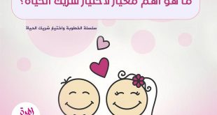 الخطوبة واختيار شريك الحياة - ما هو أهم معيار في اختيار شريك الحياة؟