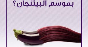 صحة - تساقط الشعر والبيتنجان