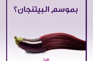 صحة - تساقط الشعر والبيتنجان