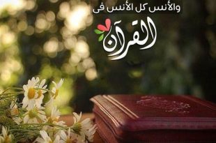 بطاقات الصباح - كل الأنس في القرآن