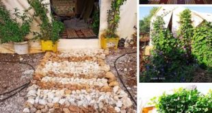 بطاقات الصباح - بنت الأصل بتعمل من كوخا قصر