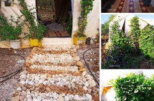 بطاقات الصباح - بنت الأصل بتعمل من كوخا قصر