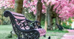 بطاقات الصباح - مراجعة النفس