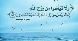 بطاقات الصباح - ولا تيأسوا من روح الله