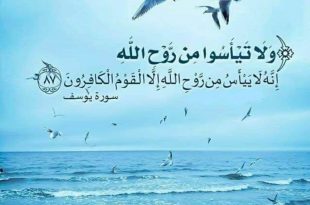 بطاقات الصباح - ولا تيأسوا من روح الله