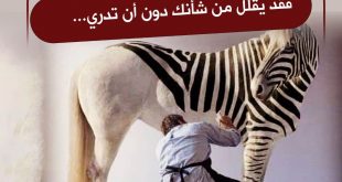 التطوير الشخصي - الاستسلام عندما يخطط لك الآخرون
