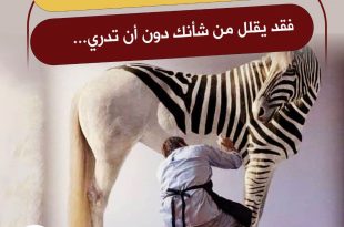 التطوير الشخصي - الاستسلام عندما يخطط لك الآخرون