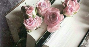 بطاقات الصباح - الكتب
