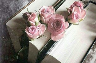 بطاقات الصباح - الكتب