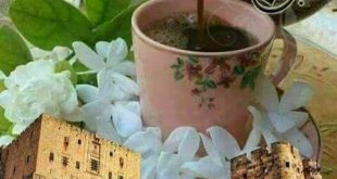 الحياة الزوجية - أسباب تجعلك تتزوج الحلبية