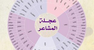 التطوير الشخصي - عجلة المشاعر