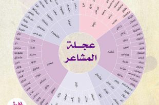 التطوير الشخصي - عجلة المشاعر