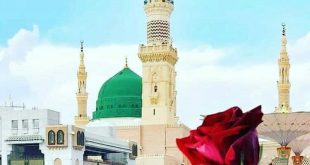بطاقات الصباح - جمعة مباركة