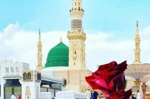 بطاقات الصباح - جمعة مباركة