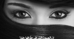 صحة - إن العيون التي في طرفها حور قتلننا