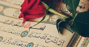 الرسائل الصباحية - فاصرف زمانك في الأعز الأفخر