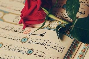 الرسائل الصباحية - فاصرف زمانك في الأعز الأفخر