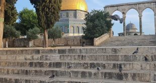 بطاقات الصباح - المسجد الأقصى