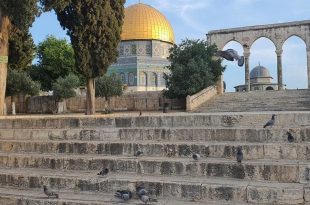 بطاقات الصباح - المسجد الأقصى