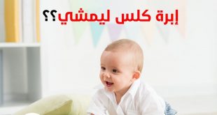 إبرة كلس