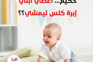 إبرة كلس