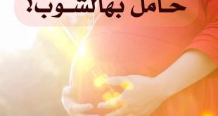 حامل بهالشوب