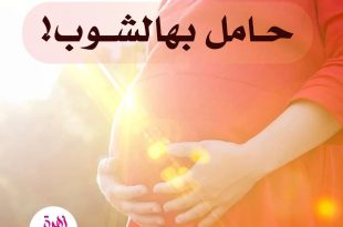 حامل بهالشوب