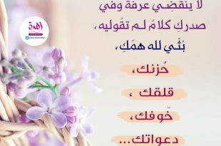 الدعاء في يوم عرفة