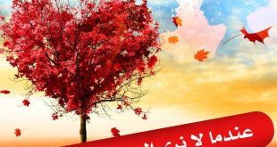 عندما لا نرى الحب من حولنا!