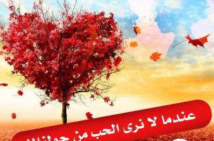 عندما لا نرى الحب من حولنا!