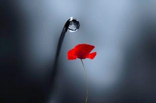 تعويد العقل على رؤية الجزء الإيجابي