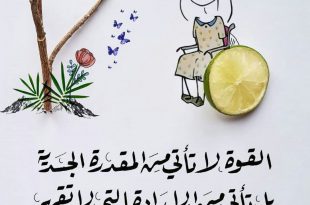 القوة لا تأتي من المقدرة الجسدية