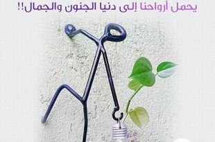 دنيا الجنون والجمال