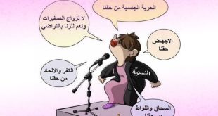 النسوية - feminist