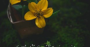 وراء كل ظلمة فرج