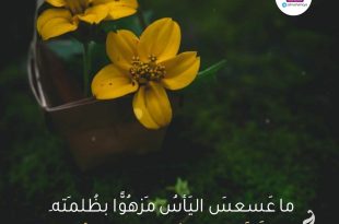 وراء كل ظلمة فرج
